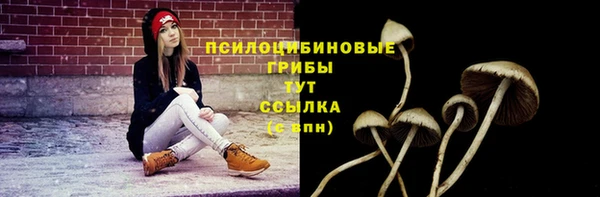 таблы Алексин