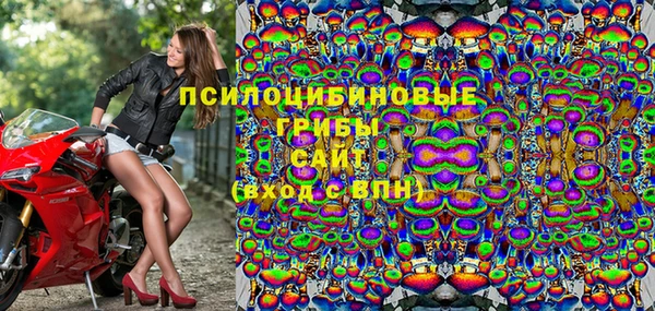 сатива Алексеевка