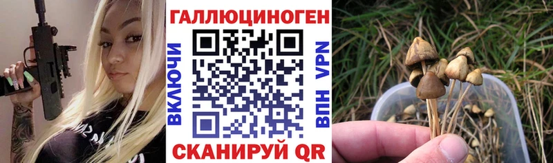 купить закладку Москва Псилоцибиновые грибы прущие грибы